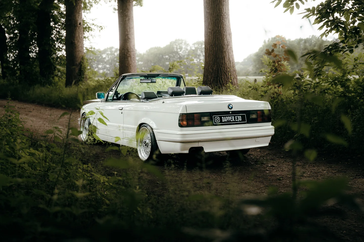 Witte klassieke cabriolet tussen het groen